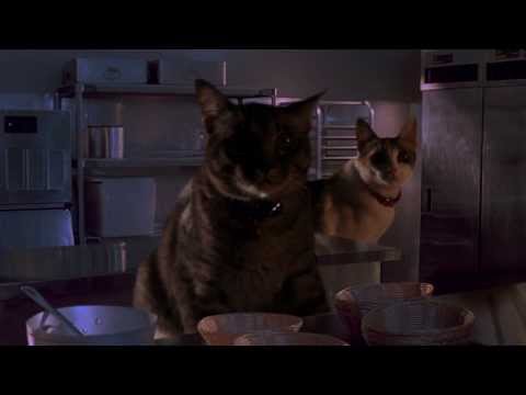 Jurassic Park, con gatos Jurassic Park, con gatos