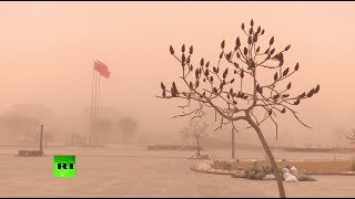 «По возможности не выходите на улицу»: северную провинцию Китая накрыла песчаная буря