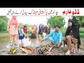 Frog Funny  Ramzi,Noori, Bilo ,Bhootna,Shoki, Sanam, Falak Sher,Funny Video  Rachnavi Tv