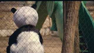 UNCLE VICTORY(Shengli)  by Zhang Meng - TRAILER