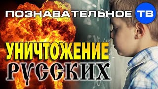 Уничтожение русских школьным образованием (Илья Михнюк)