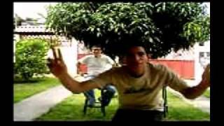 Jeffrey y Marcos Comedia 1-5 en Trailer  2010