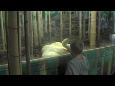 Binder park zoo coupons