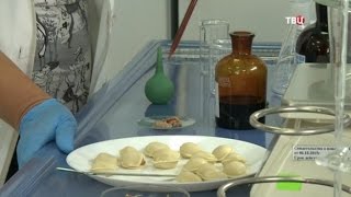 Пельмени. Естественный отбор