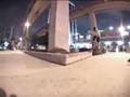 
Animal BMX