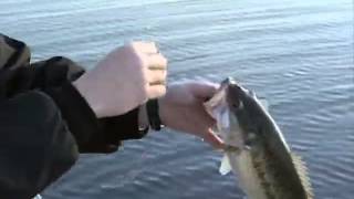 Deepwater Structure Fishing for Spotted Bass DVD