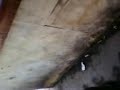 Picture Bokep Di Warung 3gp