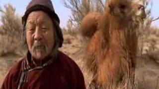 Trailer - Die Geschichte vom weinenden Kamel