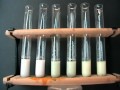 Halides in solution: Test using acidified silver nitrate and ammonia. From 20to9.com