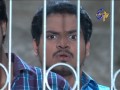 telugu-serials-video-11242-Bharyamani Telugu Serial Episode : 1286, Telecasted on :03/06/2013 telugu-serials-video-11242-Bharyamani Telugu Serial Episode : 1286, Telecasted on :03/06/2013