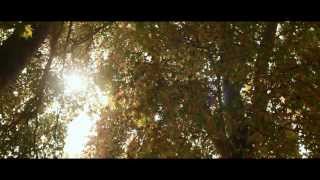 PARTAV Official TRAILER  HD  YouTube sharing