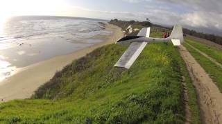 le fish rc glider