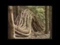 Andy Goldsworthy Naturalist Artist - P1