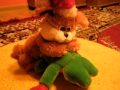 Picture Animal Pornio