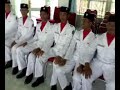 Photo Lalat Gaya