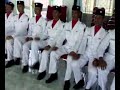 Image Lalat Gaya