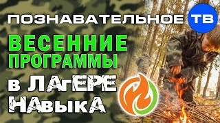 Весенние программы в Лагере Навыка (Познавательное ТВ)