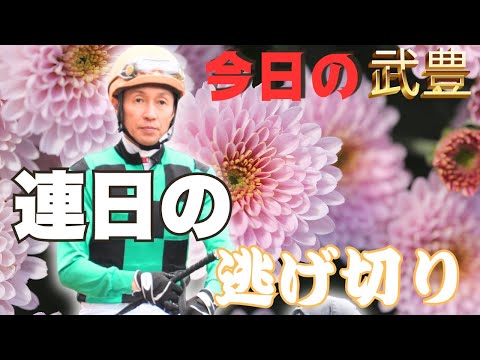 雨の京都競馬場で武豊騎手が連勝中!現地映像と解説付き サムネイル