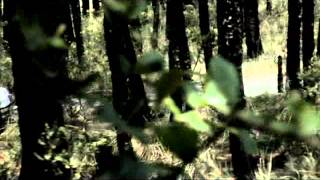 trailer de la pelicula la resurrección de amanda morales