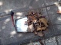 Photo Video Kocak Mission Xxx