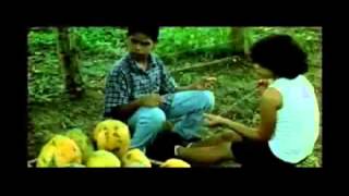 Andrea - en trailersdominicanos.com , trailers de peliculas dominicanas.