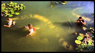 Anacondas 2004 Movie Trailer