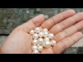9-12mm AAA Grade High Quality White South Sea Pearls from Lombok, Indonesia