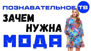 Зачем нужна мода? (Артём Войтенков)