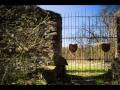 VIDEOCLIP Cu primavara prin Cetatea Medievala Sighisoara