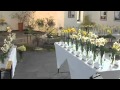 Jarní výstava květin v Hlučíně