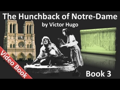 Book 03 - The Hunchback of Notre Dame Audiobook by Victor Hugo (Chs 1-2)