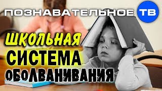 Система образования против здоровья детей. Часть 2 (Владимир Базарный)