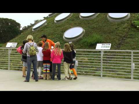 Living Roof, California Academy of Sciences, SWA Group