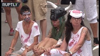 В Барселоне вегетарианцы вымазали себя кровью, требуя закрыть скотобойни