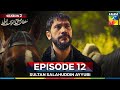 Sultan Salahuddin Ayyubi Season 2 Episode 12  - 26 August 25 - HUM TV
