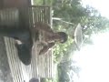 Image Malay Song 3gp