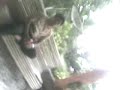 Picture Malay Song 3gp