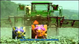 Jardins do Destino (2009) - Gardens of Destiny-TRAILER [Leg. Pt]