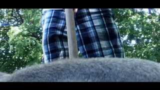 The Curious Incident of the Dog In The Night-time Movie Trailer