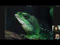 Crazy GOOD AdoramamPIX Rapid Fire Critique #51