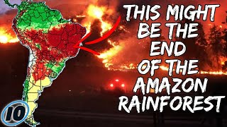 Amazon Rain Forest Fires Officially The Worst Disaster In HistoryAmazon Rain Forest Fires Officially The Worst Disaster In History