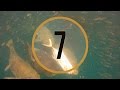 Photo Top 10 Best Fishing Clips Choose Your Favorite