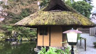 Kyoto Japanese Tea house