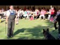 Kozlovice 2013: ZKO výcvik psů
