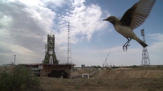 Союз МС-09: начало пути