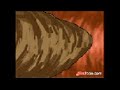 Picture Sex Toon Espermatosoides