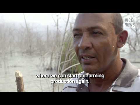 Black-Market Charcoal Trade: The Lake That Burned Down A Forest   7/27/14  (Climate)
