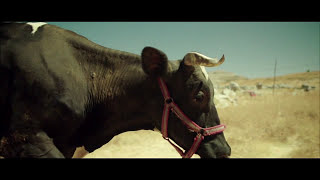 Free Range (by Bass Bréche) trailer