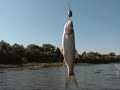 рыбкино мокша рыбалка рыбкино мокша рыбалка