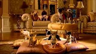 Beverly Hills Chihuahua 2 (2011) - Trailer